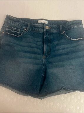 LOFT Dark Blue Denim Jean Shorts